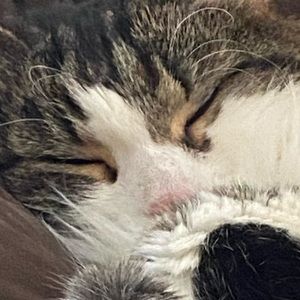 Meet your Posher, Kaylee